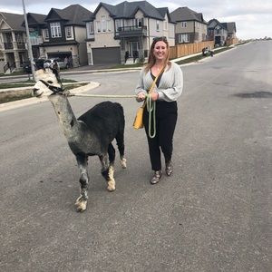 Meet your Posher, Jessica